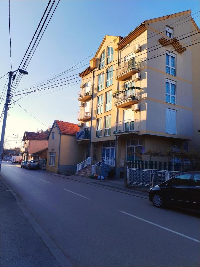 Apartman Centar Požarevac Eksteriør billede