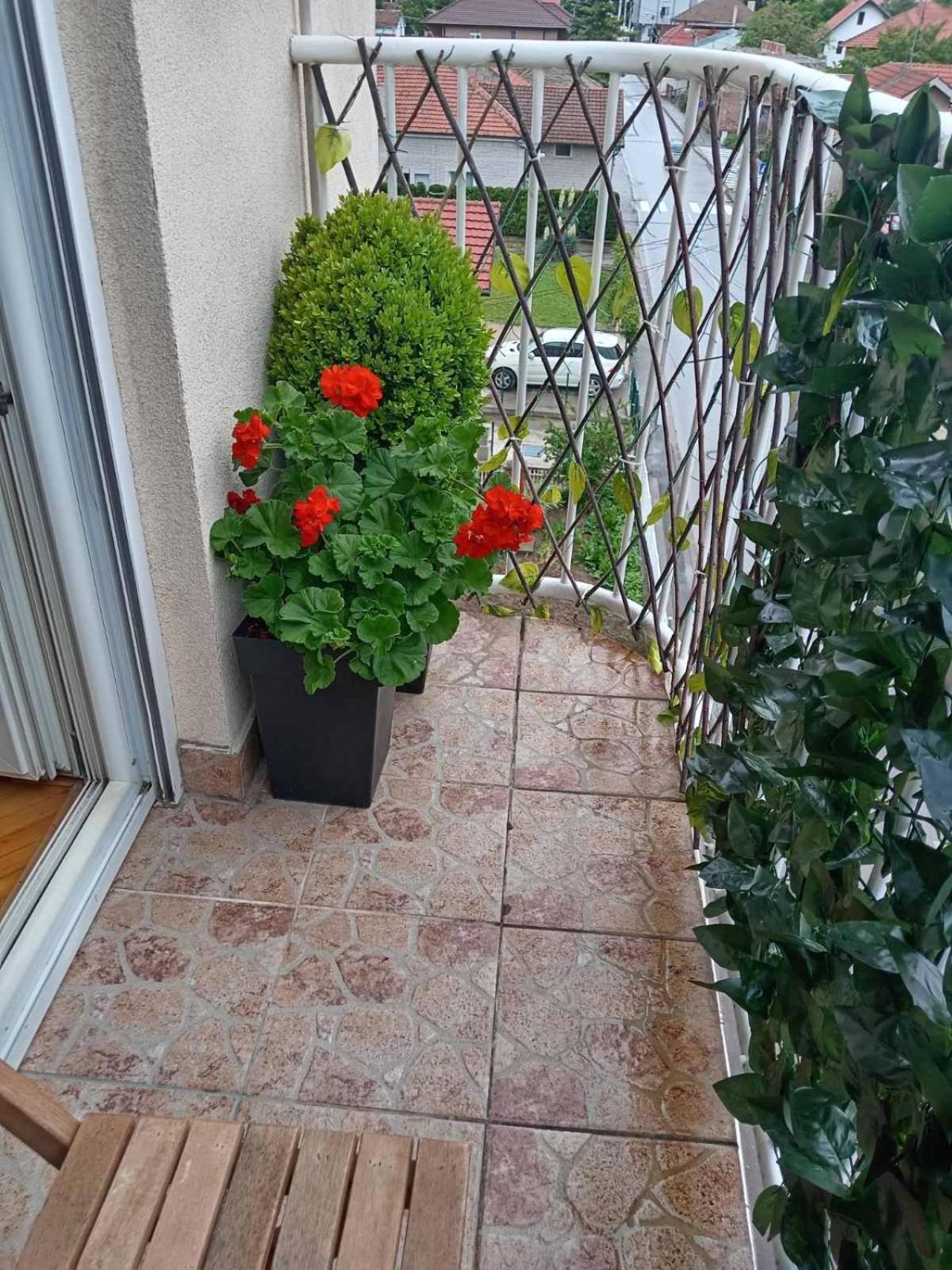 Apartman Centar Požarevac Eksteriør billede