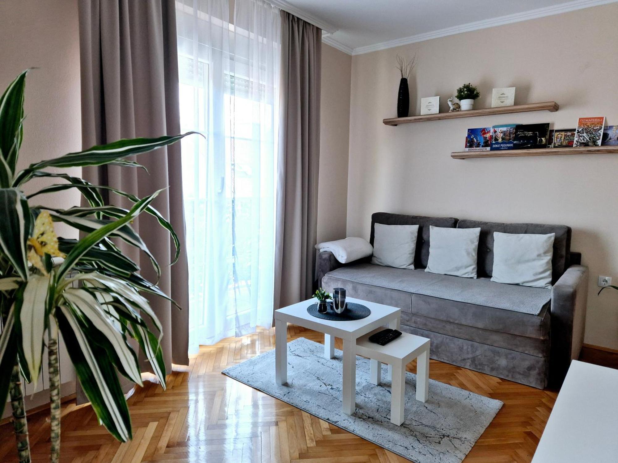 Apartman Centar Požarevac Eksteriør billede